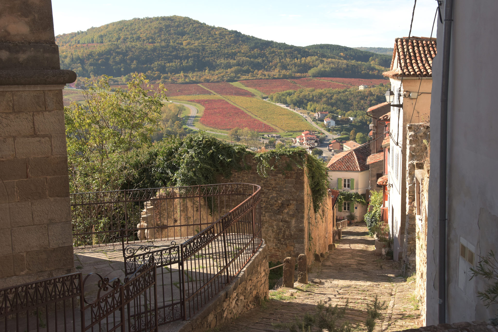 Motovun